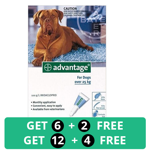 Advantage for dogs over 55 outlet lbs