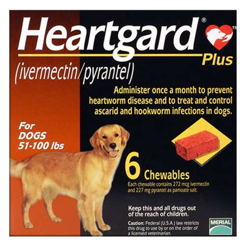 Heartgard Plus Chewables for Large Dog 
