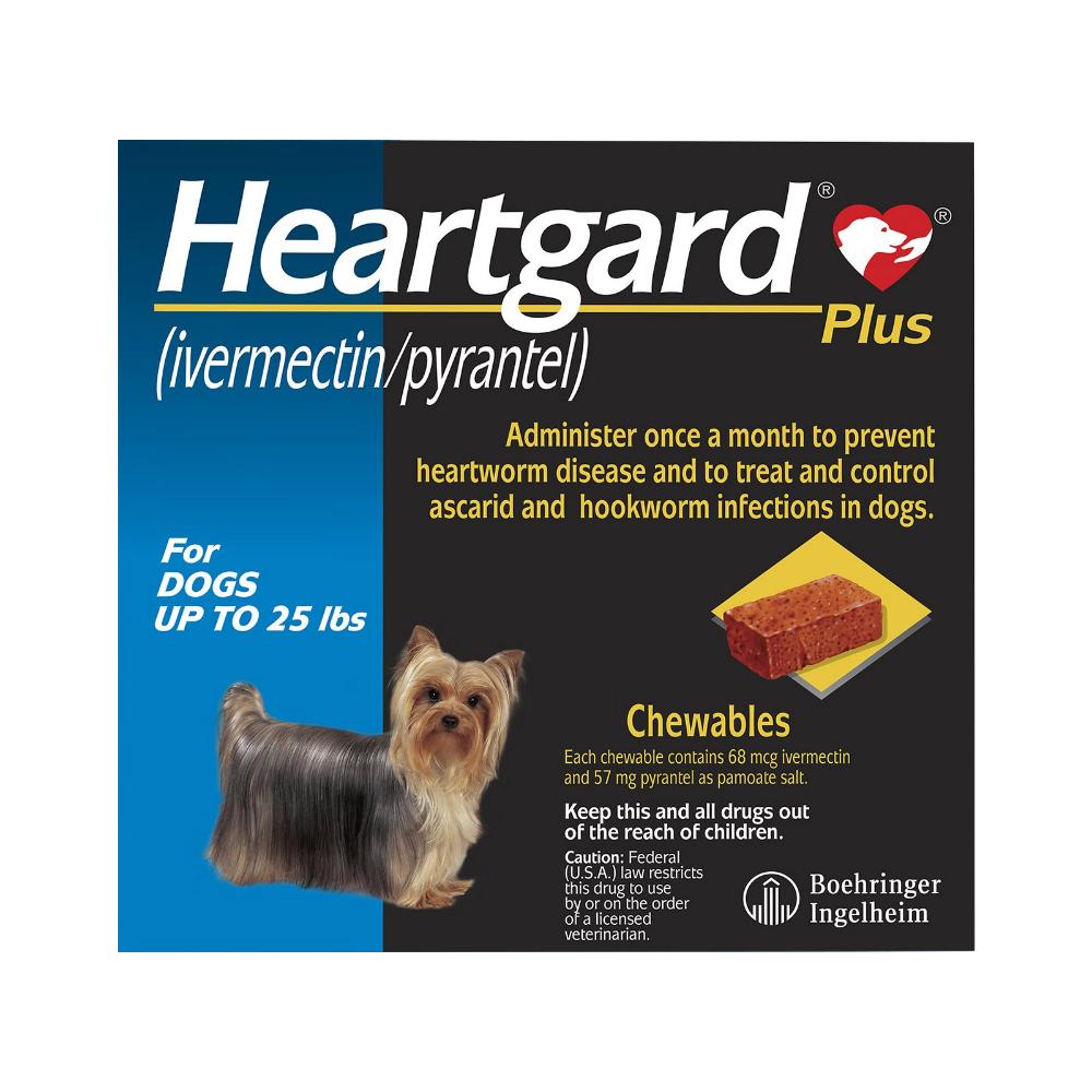 Liquid heartworm shop medicine for dogs