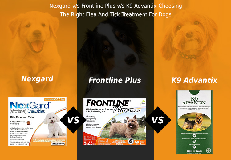 Nexgard v/s Frontline Plus v/s K9 Advantix