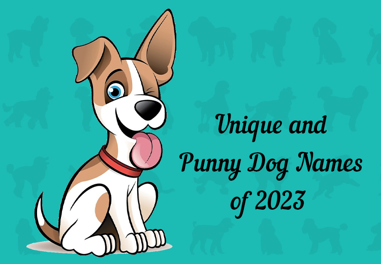 unique-and-punny-dog-names-of-2023-petcareclub